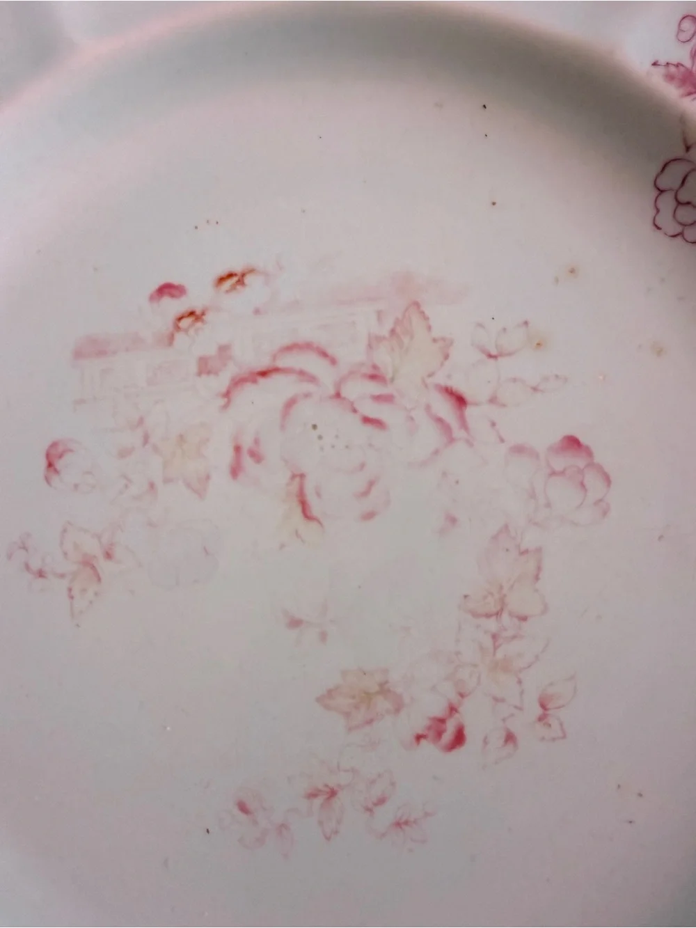 Vintage Adams Calyx Ware Lowestoft Floral Dinner Plate England